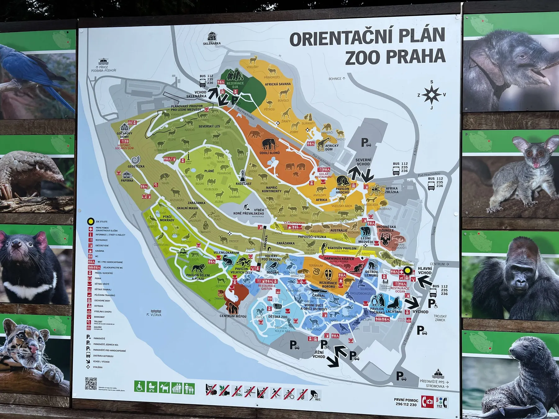 Prague Zoo: A Breathing Space Away from Old Town